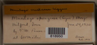 Image Associated With the Occurence